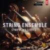 string ensemple